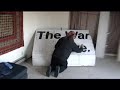 how to make a sign in 5 min