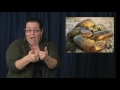Anacondas
