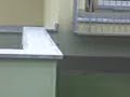LZn