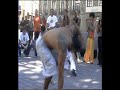 galera: roda en la latina
