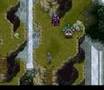 Frog Going Berserk