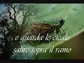 Video poesia \"Il luogo del silenzio\" di Raffaela Ruju. Video poesia \"Il luogo del silenzio\" di Raffaela Ruju.