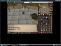 videos de Pvp, Godwars, Barrows And Duel screenie Video