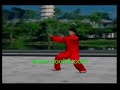 Li Deyin Tai Chi : 40 Form Yang Style Taiji Quan KF739 coohk