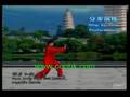 Li Deyin Tai Chi : 40 Form Yang Style Taiji Quan KF739 coohk