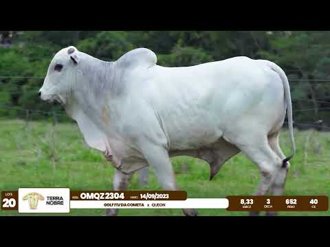 1� De Olho na Fazenda - Terra Nobre