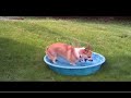 Example of video used to make a GIF Example of video used to make a GIF