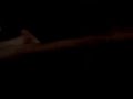 Encenado uma briga de namorados Encenado uma briga de namorados