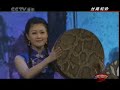 Chinese medium Ruan music：絲路駝鈴 Camel's bell along Silk Road