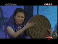 Chinese medium Ruan music：絲路駝鈴 Camel's bell along Silk Road