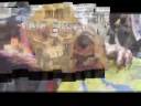 videos de anti sistema,aliados linha de frente