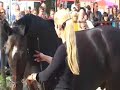 Paarden Begrijpen - Horse Event - Werk aan de hand (deel 4)