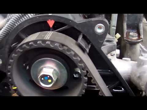 how to reset d4d t-belt light