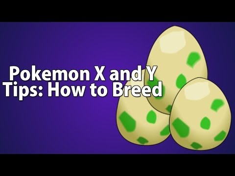 how to breed pokemon in pokemon x