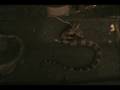 baby red tail feeding on mouse