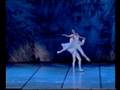 videos de Nutcracker, Irina Surneva Prima Ballerina