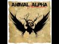 clip video Animal Alpha 101 Ways