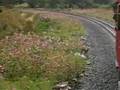 Ty Newydd Morfa to Croesor Junction Part 2.