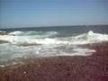 Onde marine a Premantura 2008