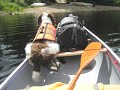 Algonquin Solo Canoe Trip - Part 2 of 2