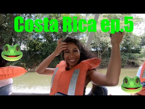 YouTube reptile video