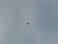 Eride flies his Striker at Chatfield