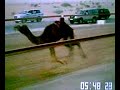 درهام قطر التمهيدي
