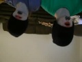 This, my friends, is what happens when you're bored.. so dont get 