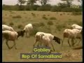 GABILEY