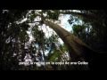 Amazonas, refugio de naturaleza y cultura