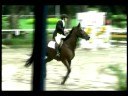 Haras Sant\