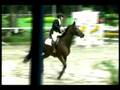 Haras Sant'Anna - Diogo For