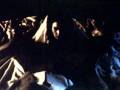 Dracula 1992 modernized teaser