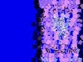 bs 2000 with n.y is good by gtwbboy (please rate/comment!)
