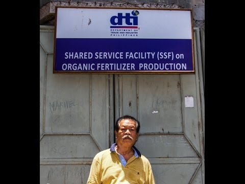 how to fertilize with fish emulsion