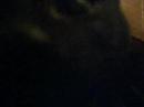 meeeeh