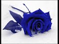S-Ra ft. Ferry - Yalan (by Kanqa67) S-Ra ft. Ferry - Yalan (by Kanqa67)