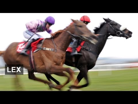 ladbrokes