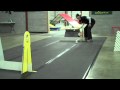 Tigee-Dooo: Feb 2 2010:YouTube������=79��