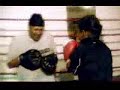 Mal� boxer