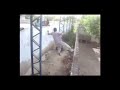 Ame sua missão. Faça valer a pena. – Gospel Parkour