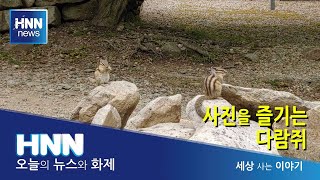 사진을 즐기는 당당한 다람쥐