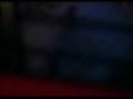 videos de harry the hamster short for harriot