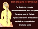 videos de Janamashtami-Birth of Krishna Consciousness Within