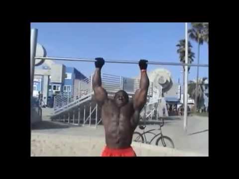 muscle