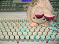 みるふぃー『花よりだんご』