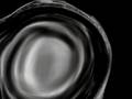 videos de Di Lusso._0001.wmv