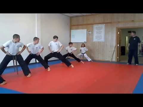 Hampton's Karate Academy - Stances 01