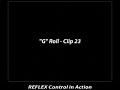REFLEX Control Screen Capture