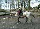 Spotty's 6th Ride